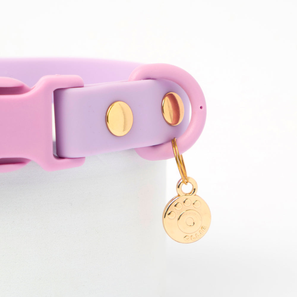 Ollie Walkies Classic - Collar and Leash Set - Lilac