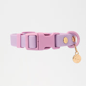 Ollie Walkies Classic - LARGE - Full Set (Collar, Harness and Leash Set): Lilac