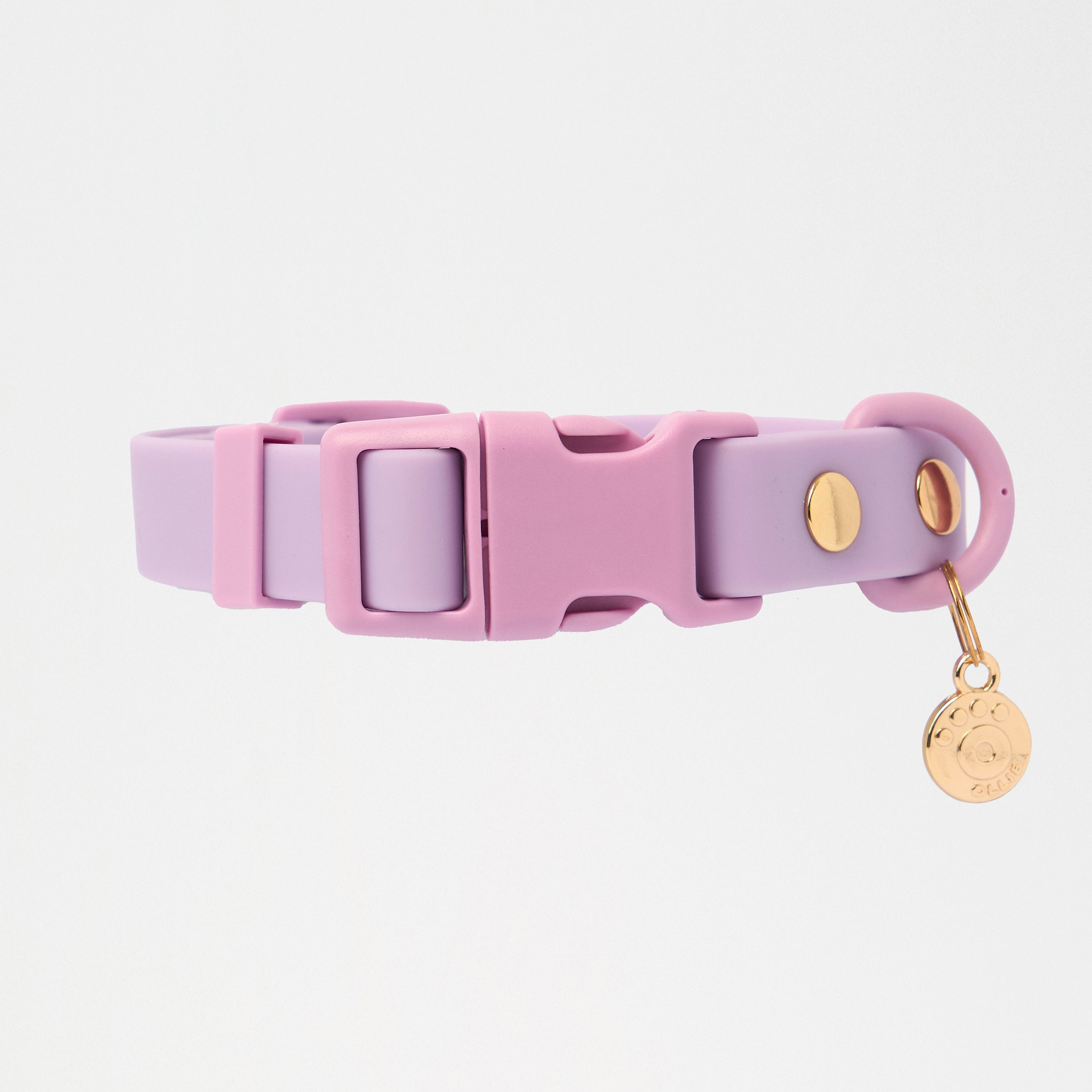 Ollie Walkies Classic - LARGE - Full Set (Collar, Harness and Leash Set): Lilac