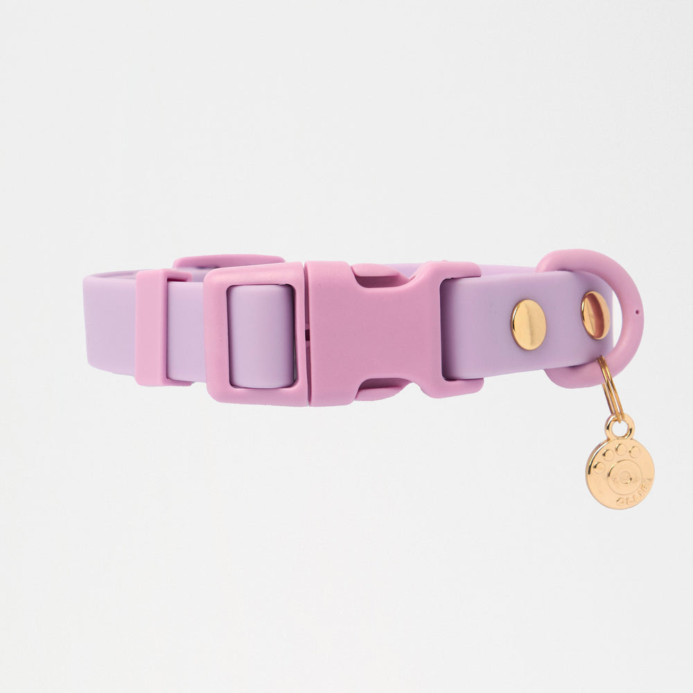 Ollie Walkies Classic - LARGE - Full Set (Collar, Harness and Leash Set): Lilac