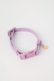 Ollie Walkies: Classic - Lilac (Collar)