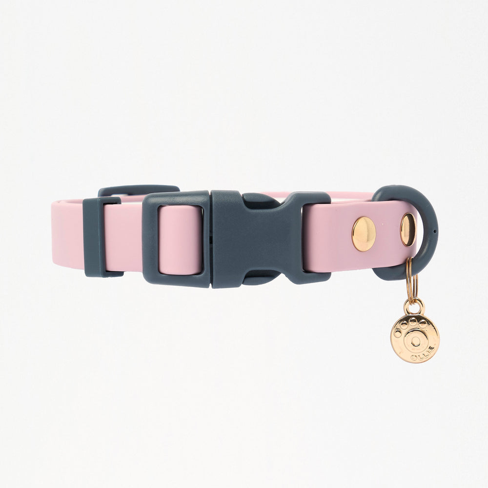 Ollie Walkies Classic - Collar and Leash Set - Otto's Purple