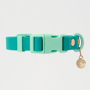 Ollie Walkies: Classic - Aqua (Collar)