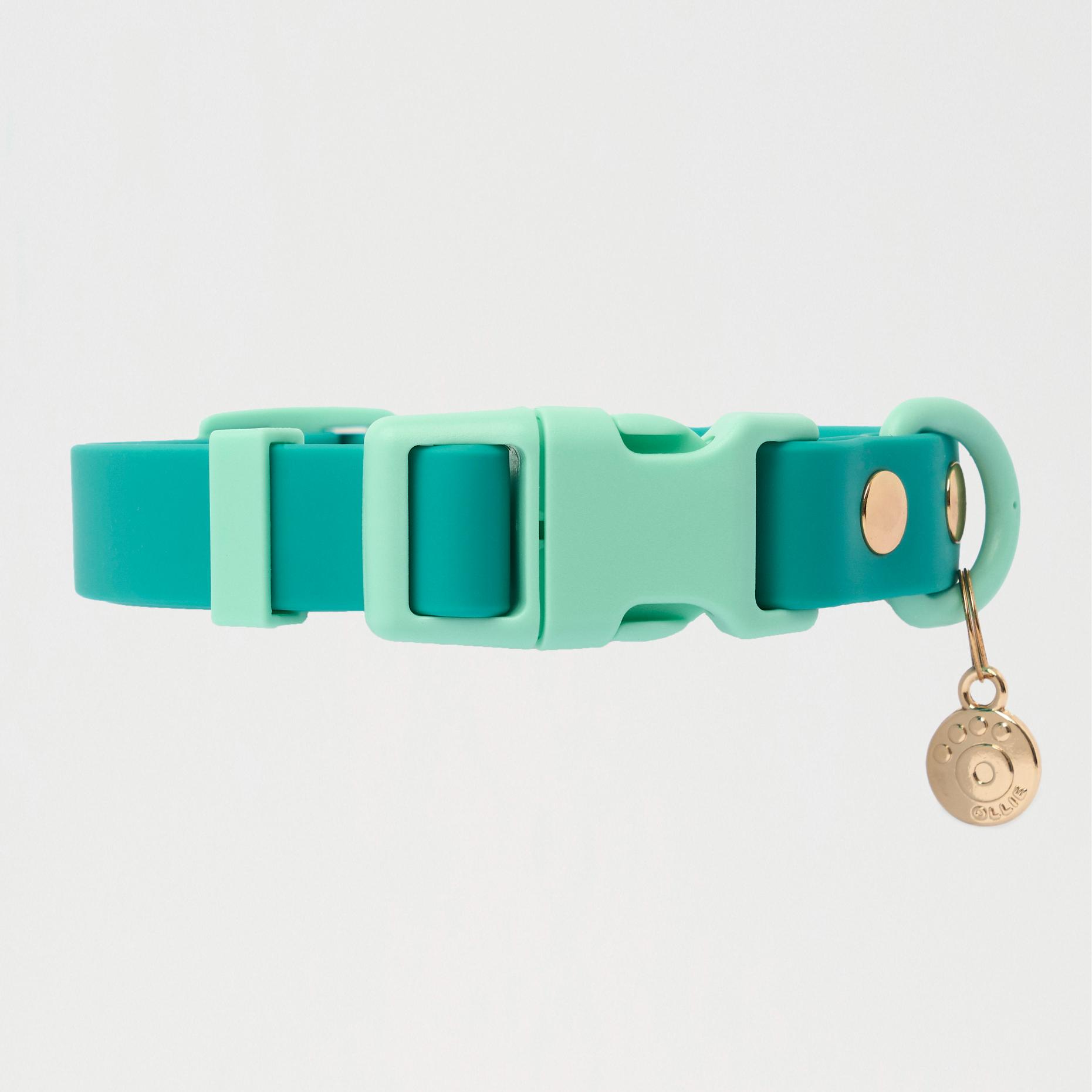 Ollie Walkies: Classic - Aqua (Collar)