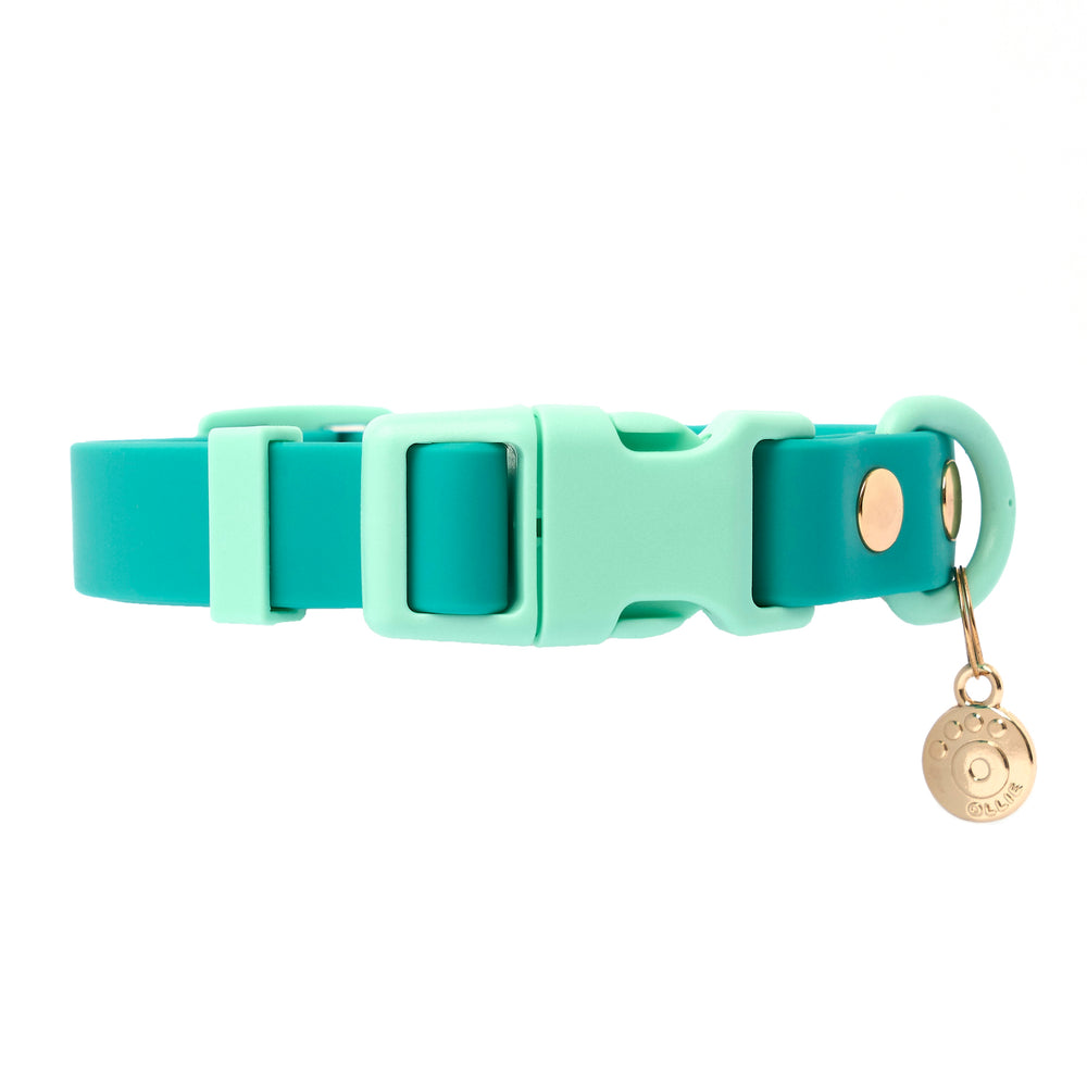 Ollie Walkies Classic - Collar and Leash Set - Aqua