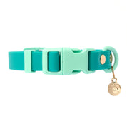 Ollie Walkies Classic - SMALL - Full Set (Collar, Harness and Leash Set): Aqua