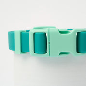 Ollie Walkies: Classic - Aqua (Collar)