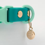 Ollie Walkies: Classic - Aqua (Collar)