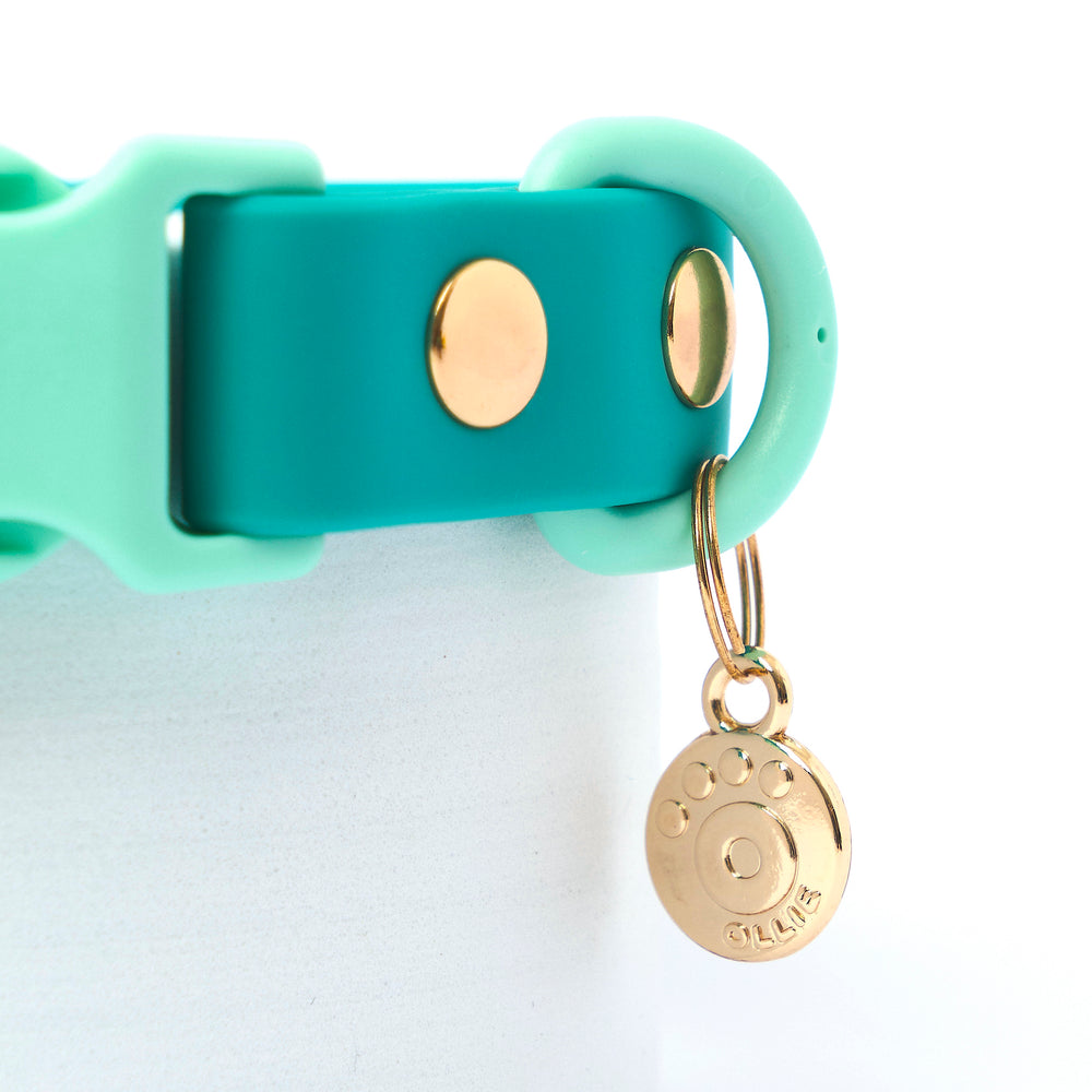 Ollie Walkies Classic - Collar and Leash Set - Aqua