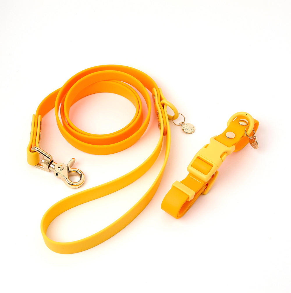 Ollie Walkies Classic - Collar and Leash Set - Lemonade