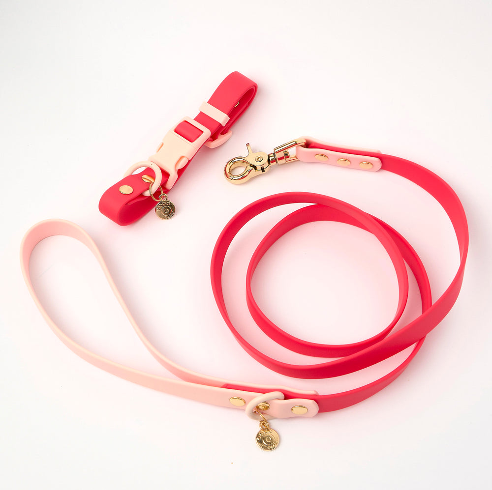 Ollie Walkies Classic - Collar and Leash Set - Watermelon