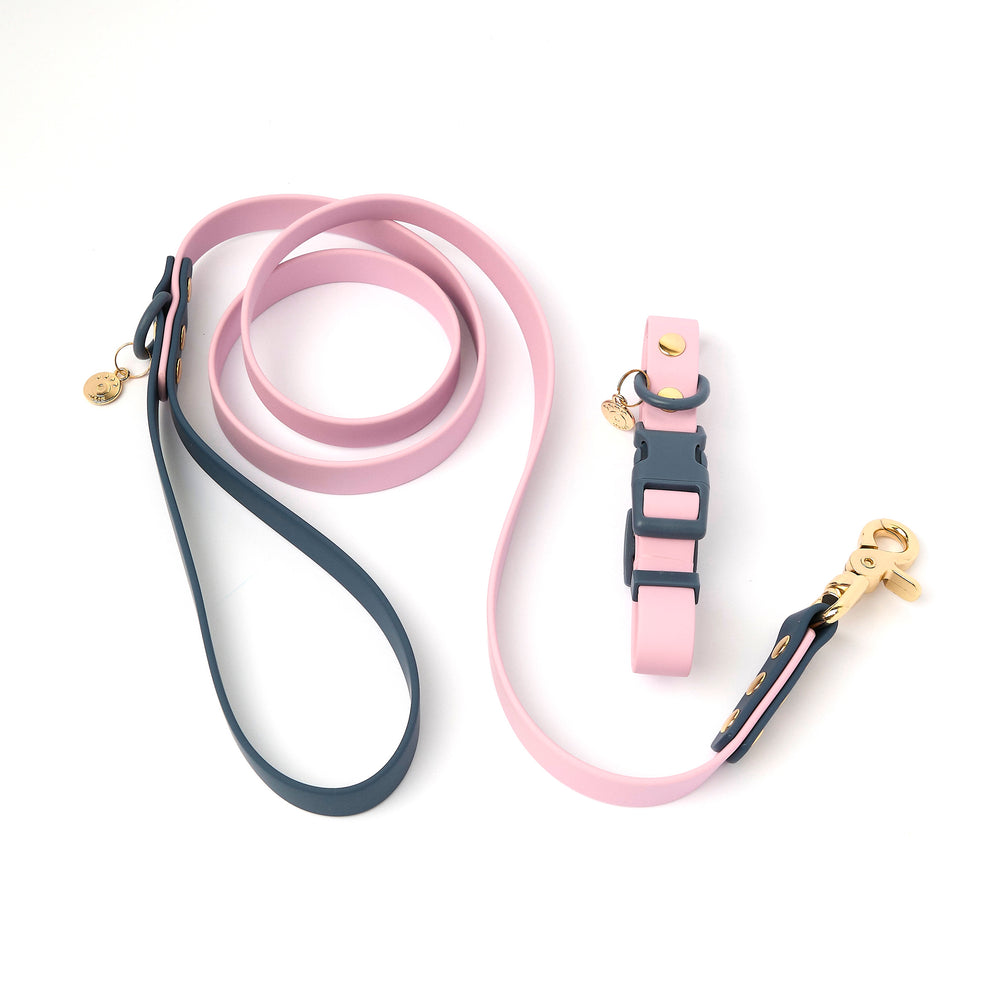 Ollie Walkies Classic - Collar and Leash Set - Otto's Purple