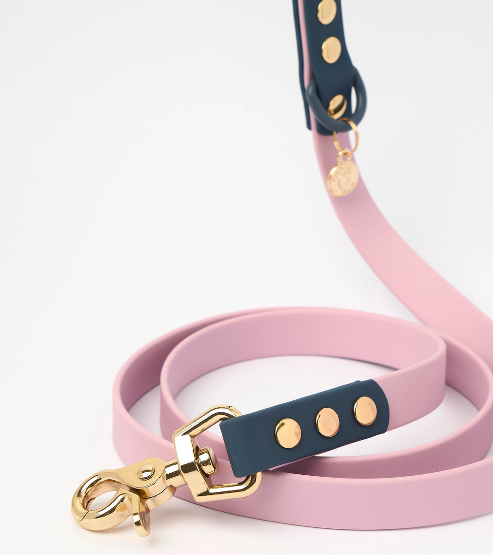 Ollie Walkies Classic - Collar and Leash Set - Otto's Purple