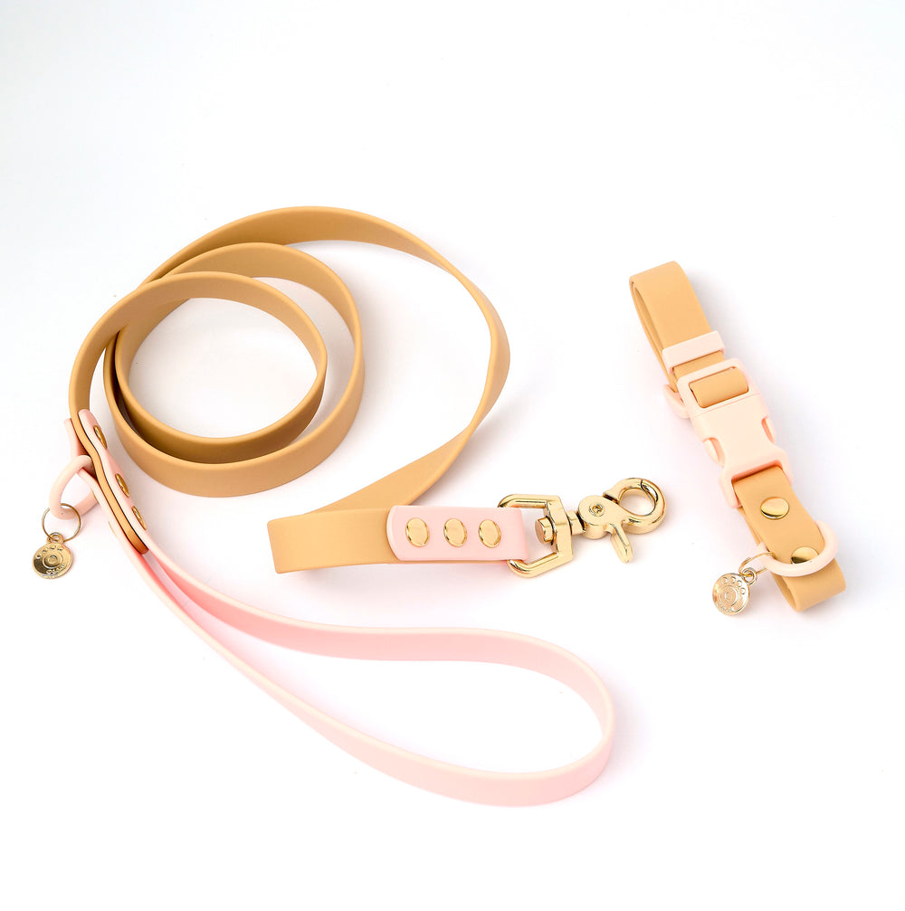 Ollie Walkies Classic - Collar and Leash Set - Cinnamon