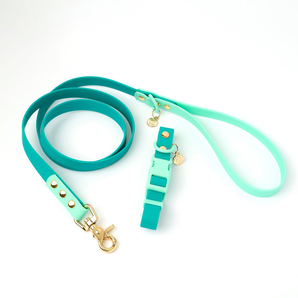 Ollie Walkies Classic - Collar and Leash Set - Aqua