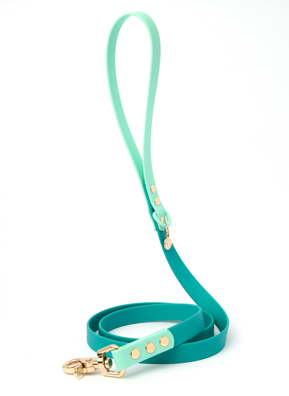 Ollie Walkies Classic - Collar and Leash Set - Aqua