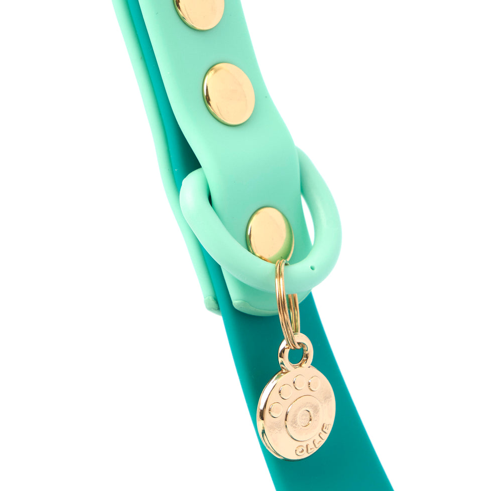 Ollie Walkies Classic - Collar and Leash Set - Aqua