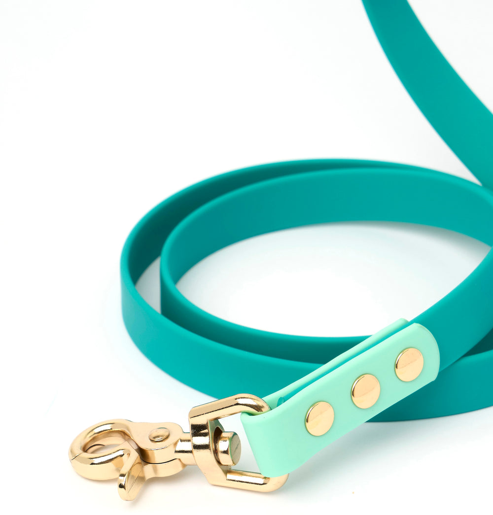 Ollie Walkies Classic - Collar and Leash Set - Aqua