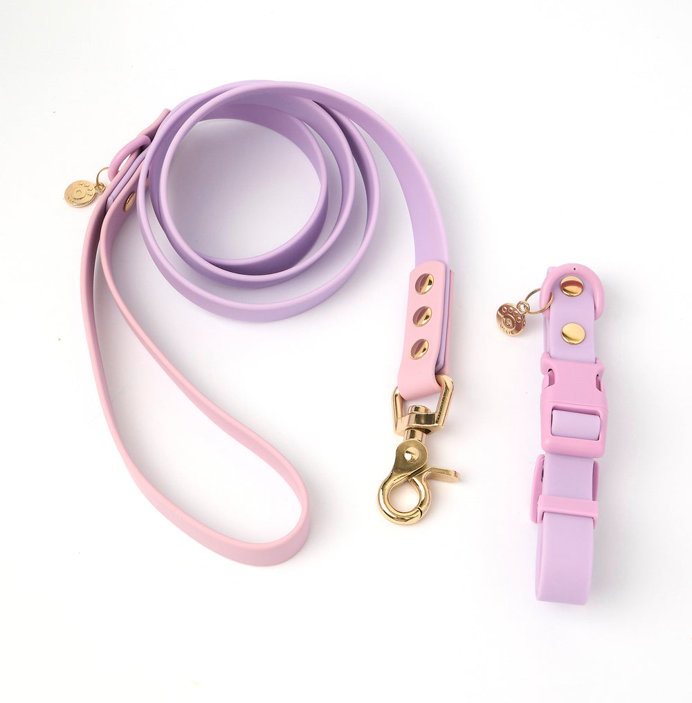 Ollie Walkies Classic - Collar and Leash Set - Lilac