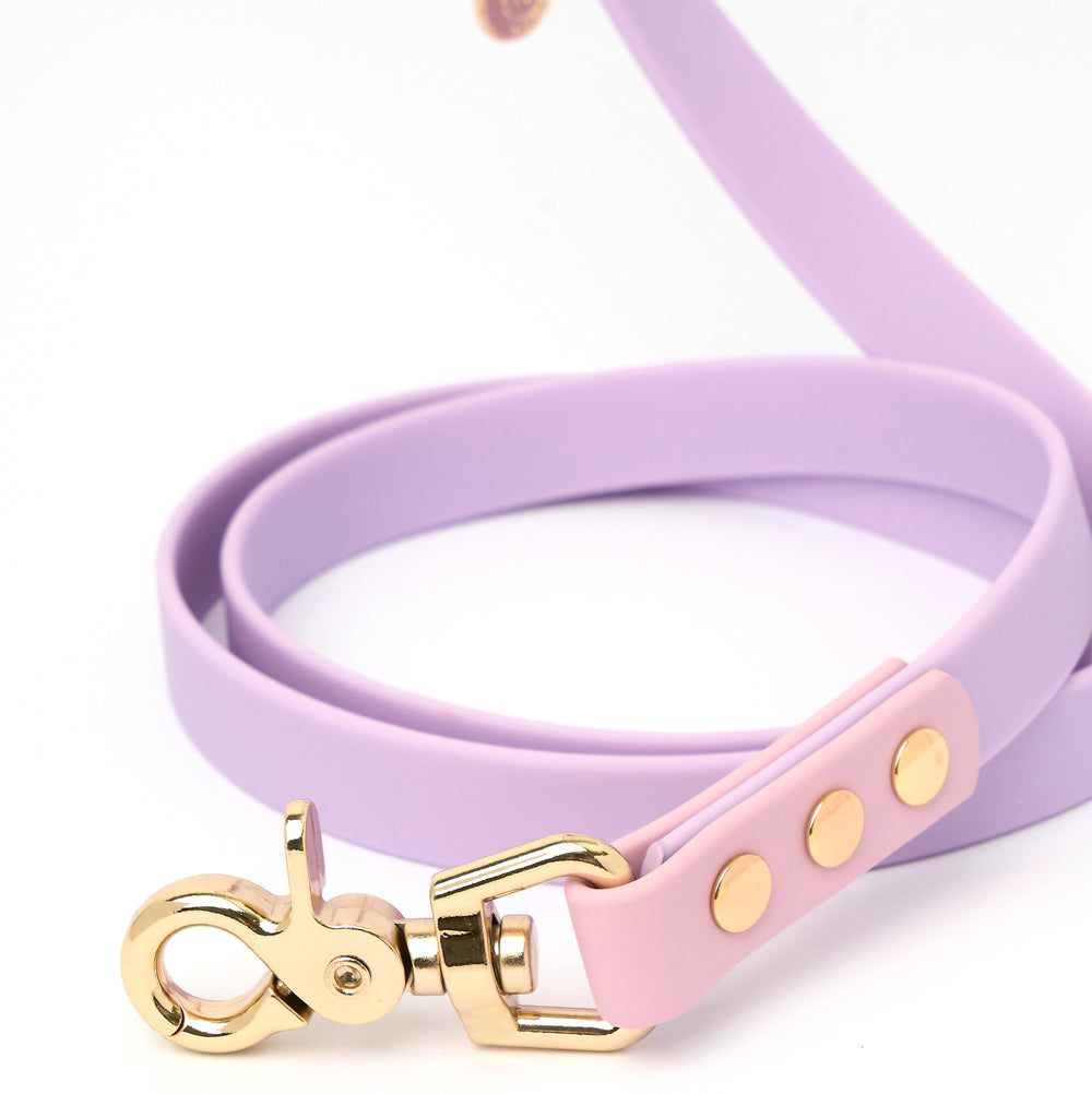 Ollie Walkies Classic - Collar and Leash Set - Lilac