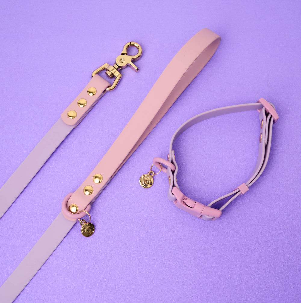 Ollie Walkies Classic - Collar and Leash Set - Lilac