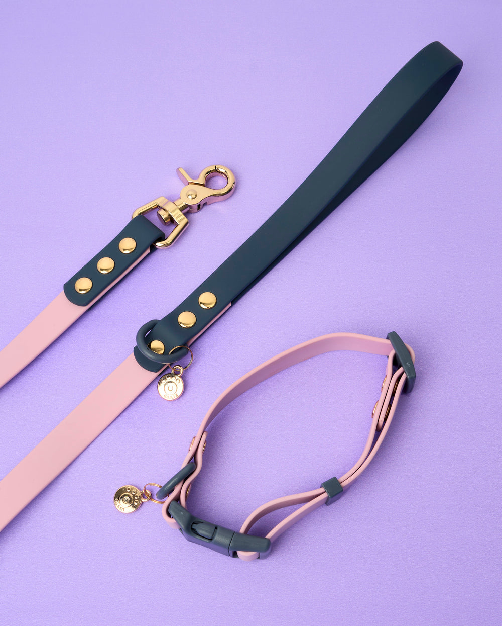 Ollie Walkies Classic - Collar and Leash Set - Otto's Purple