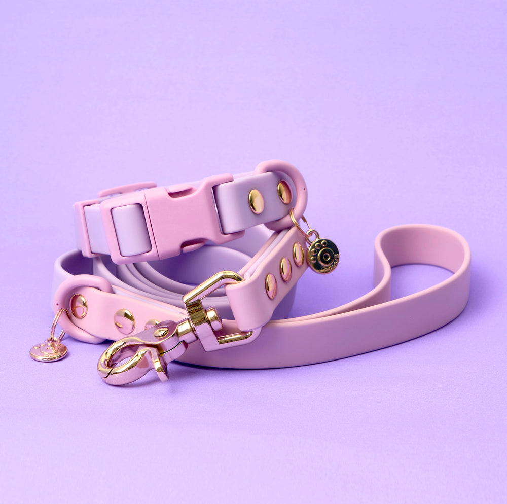 Ollie Walkies Classic - Collar and Leash Set - Lilac