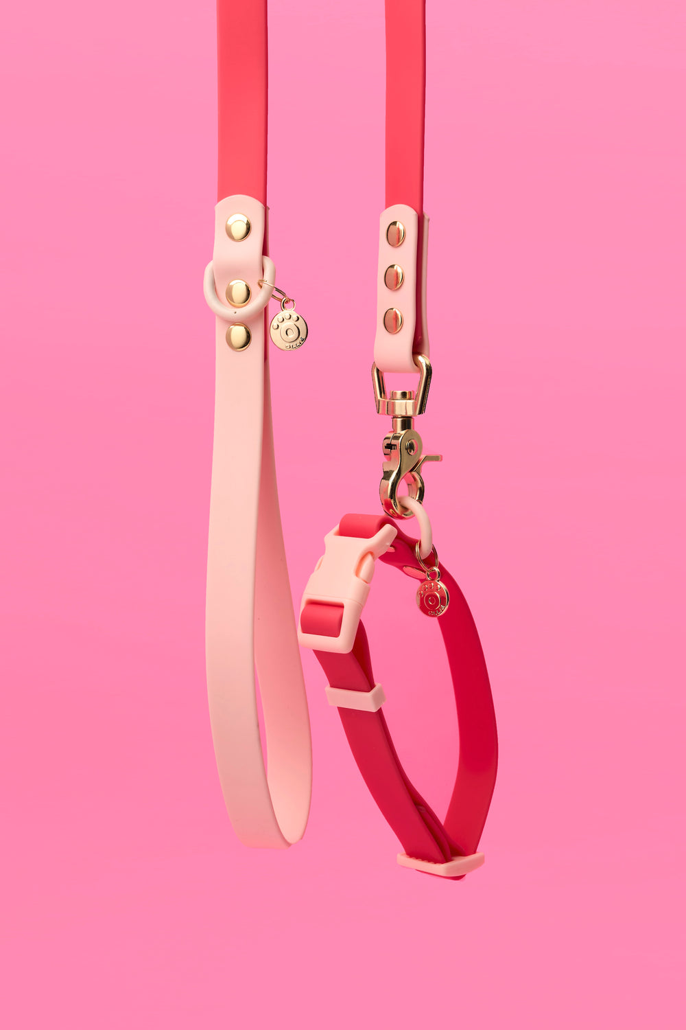 Ollie Walkies Classic - Collar and Leash Set - Watermelon