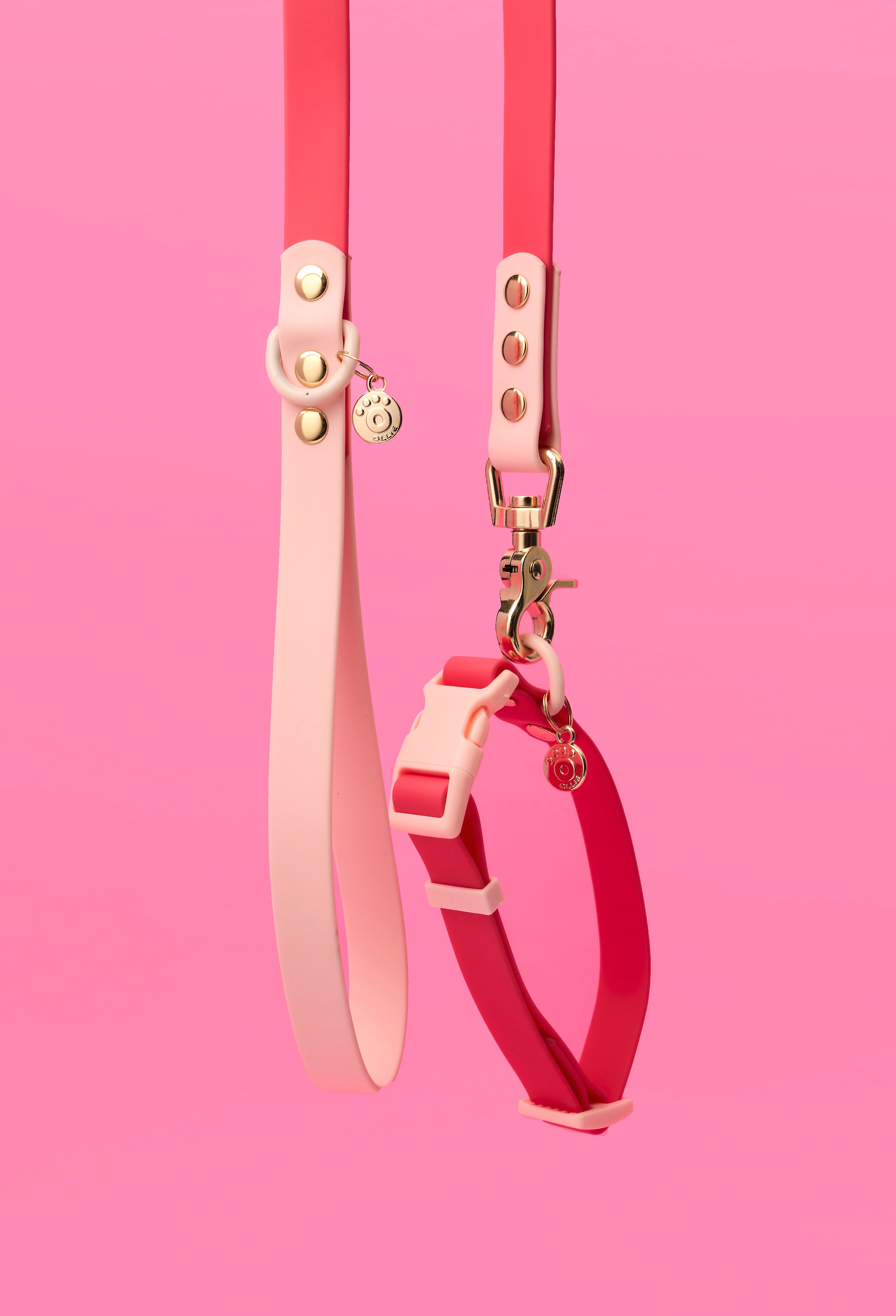 Ollie Walkies Classic - SMALL  - Full Set (Collar, Harness and Leash Set): Watermelon