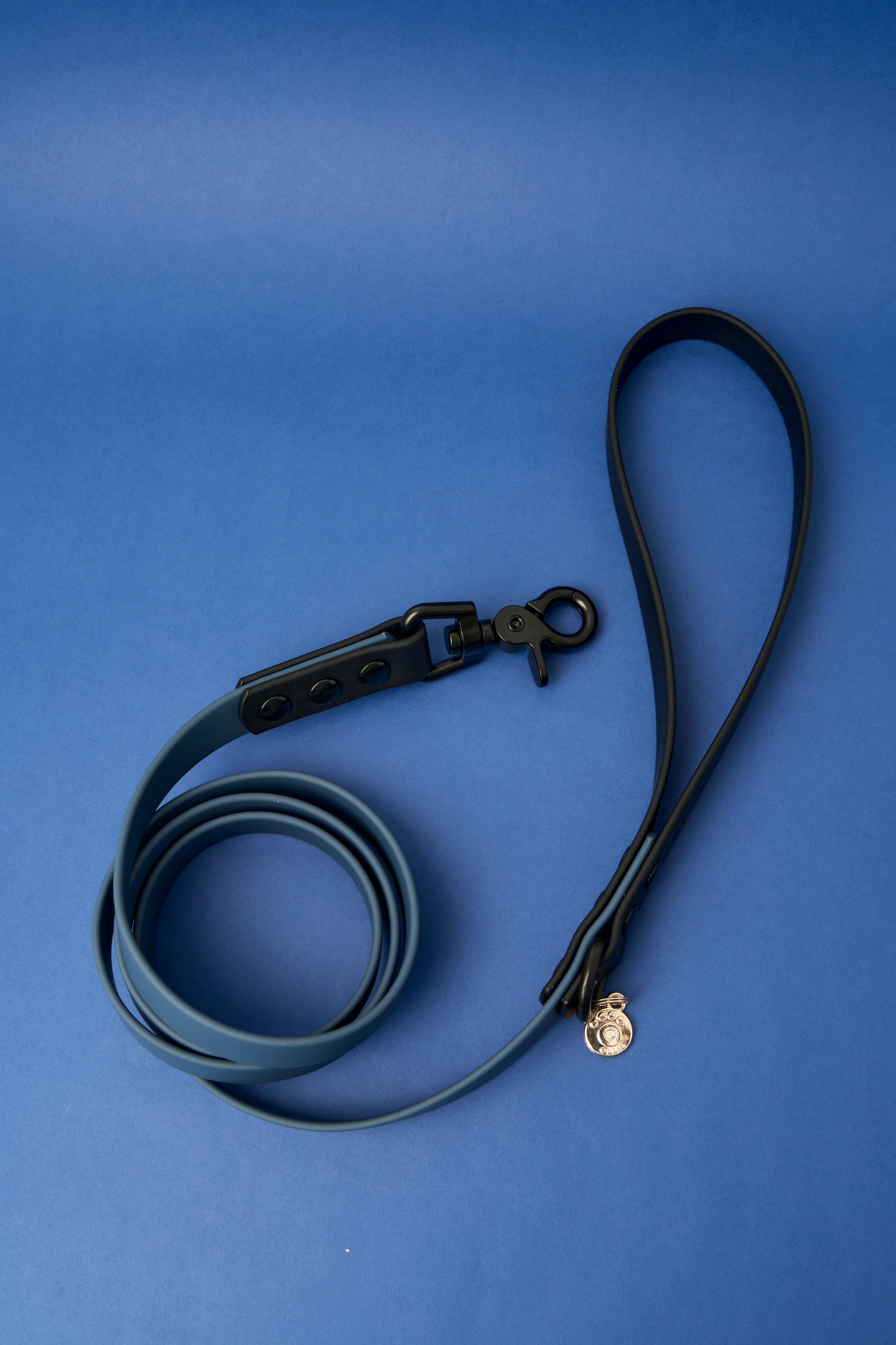 Ollie Walkies: Classic - Midnight Blue (Leash)