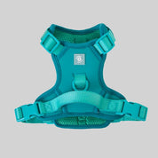 Ollie Walkies:  Body Harness - Teal