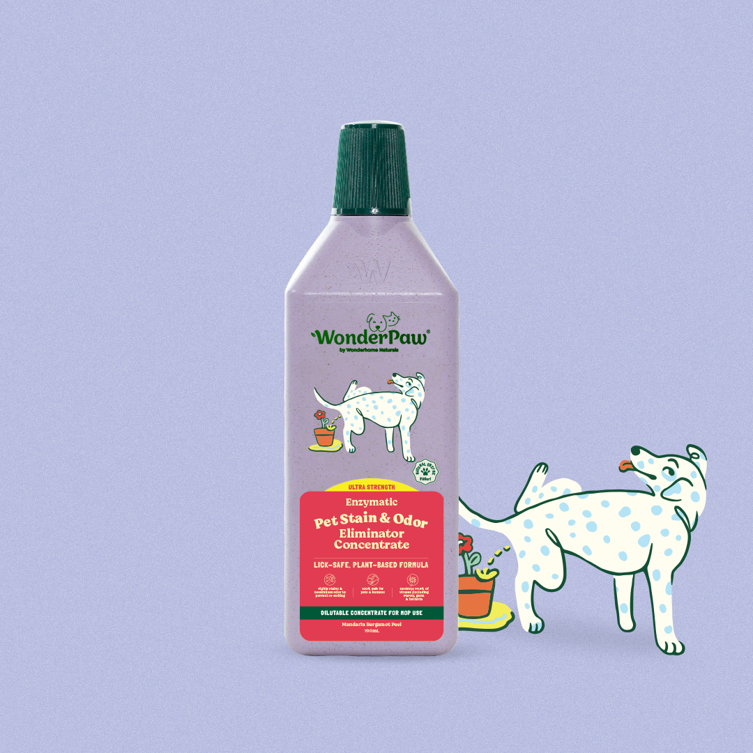WP Enzymatic Pet Stain & Odor Eliminator Concentrate Ultra Strength 700ml