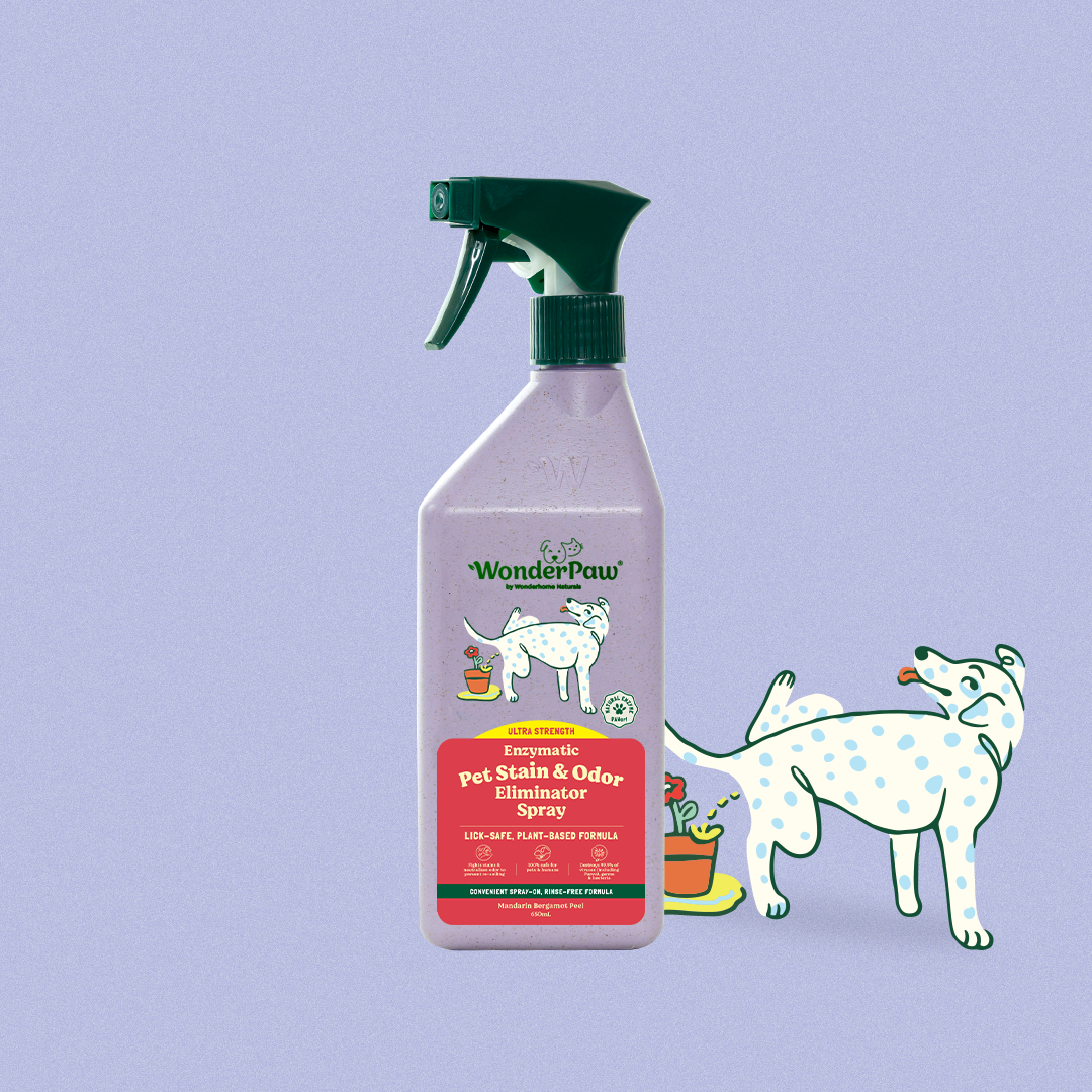 WP Enzymatic Pet Stain & Odor Eliminator Spray Original 650ml