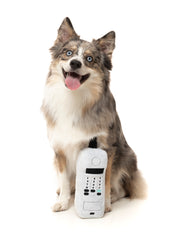 FuzzYard - The Brick