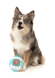 FuzzYard - Tamadogchi