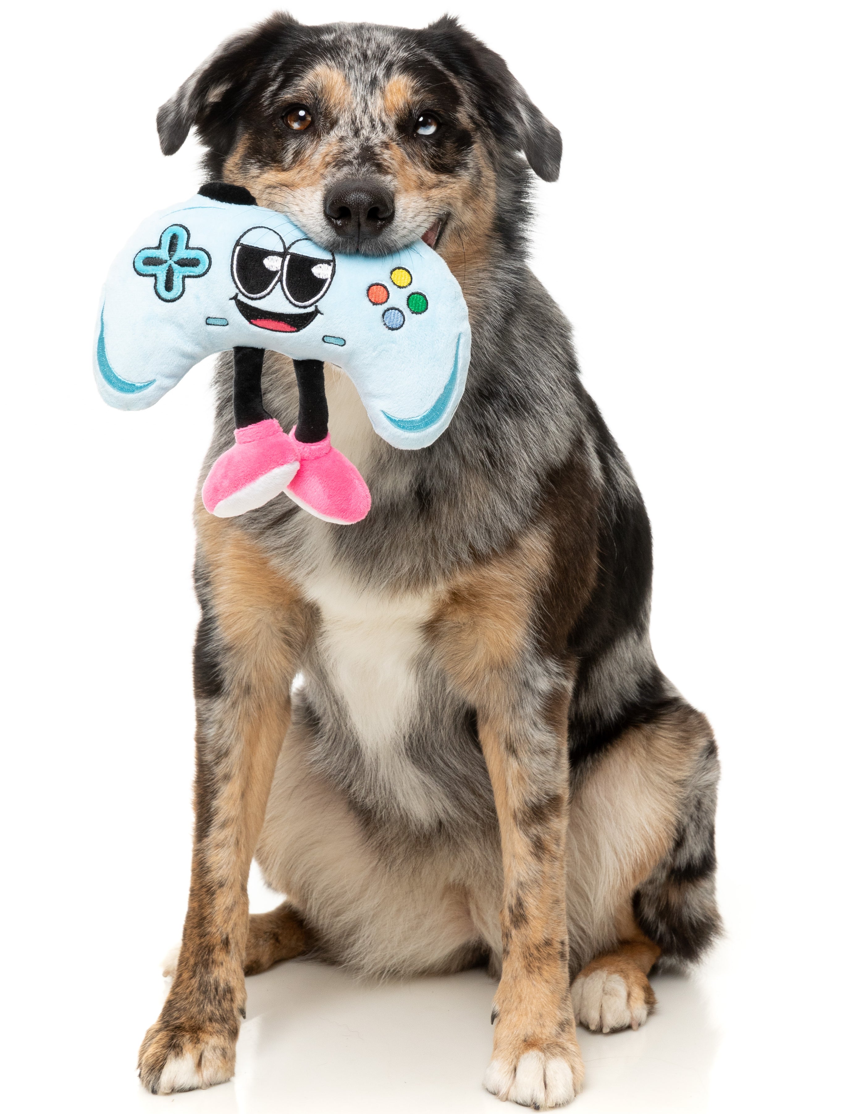 FZT1459_DogToy_Gamezy_Dog01.jpg