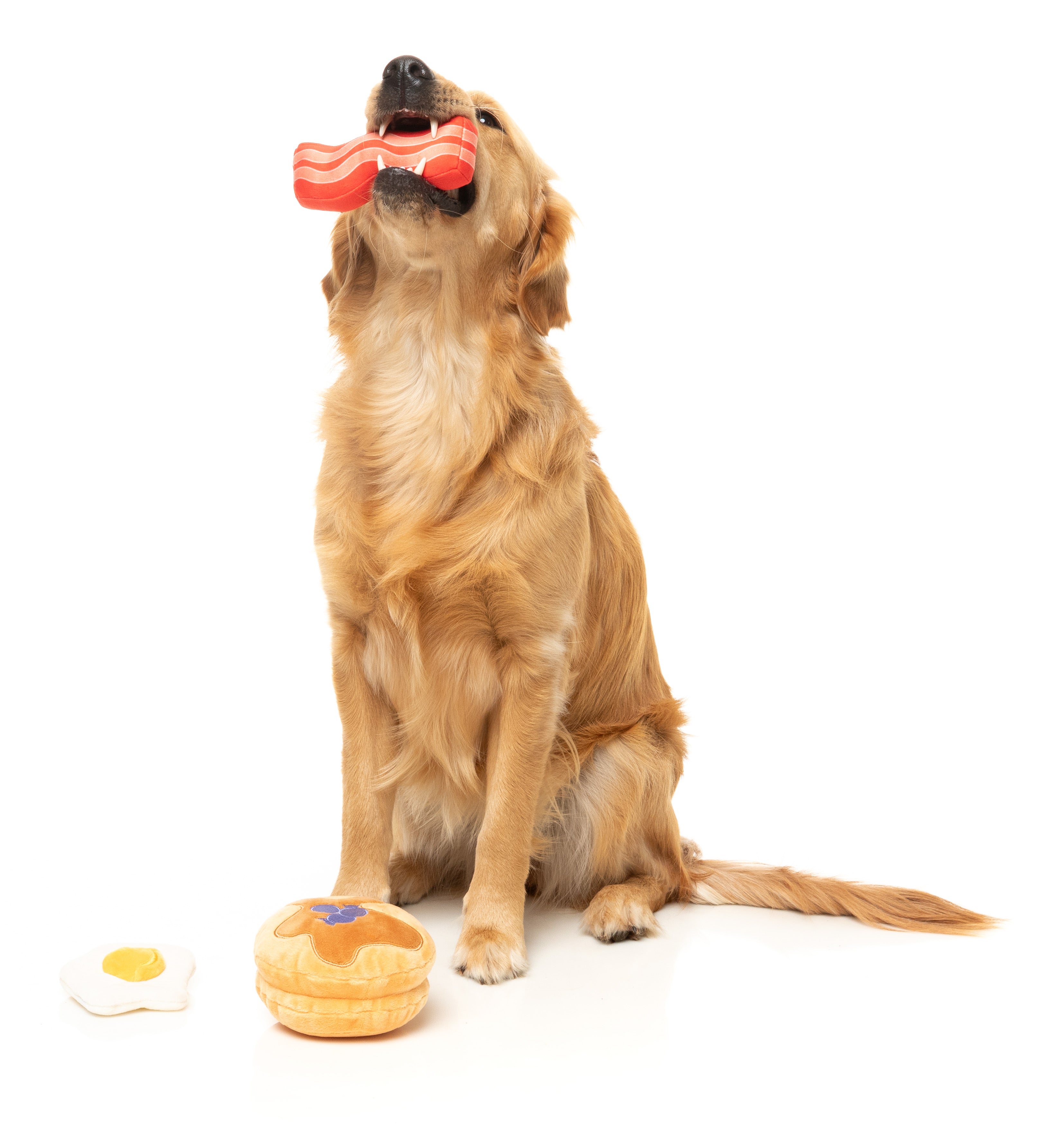 FZT1464_DogToy_Croissant_Cappuccino2pk_Dog01.jpg