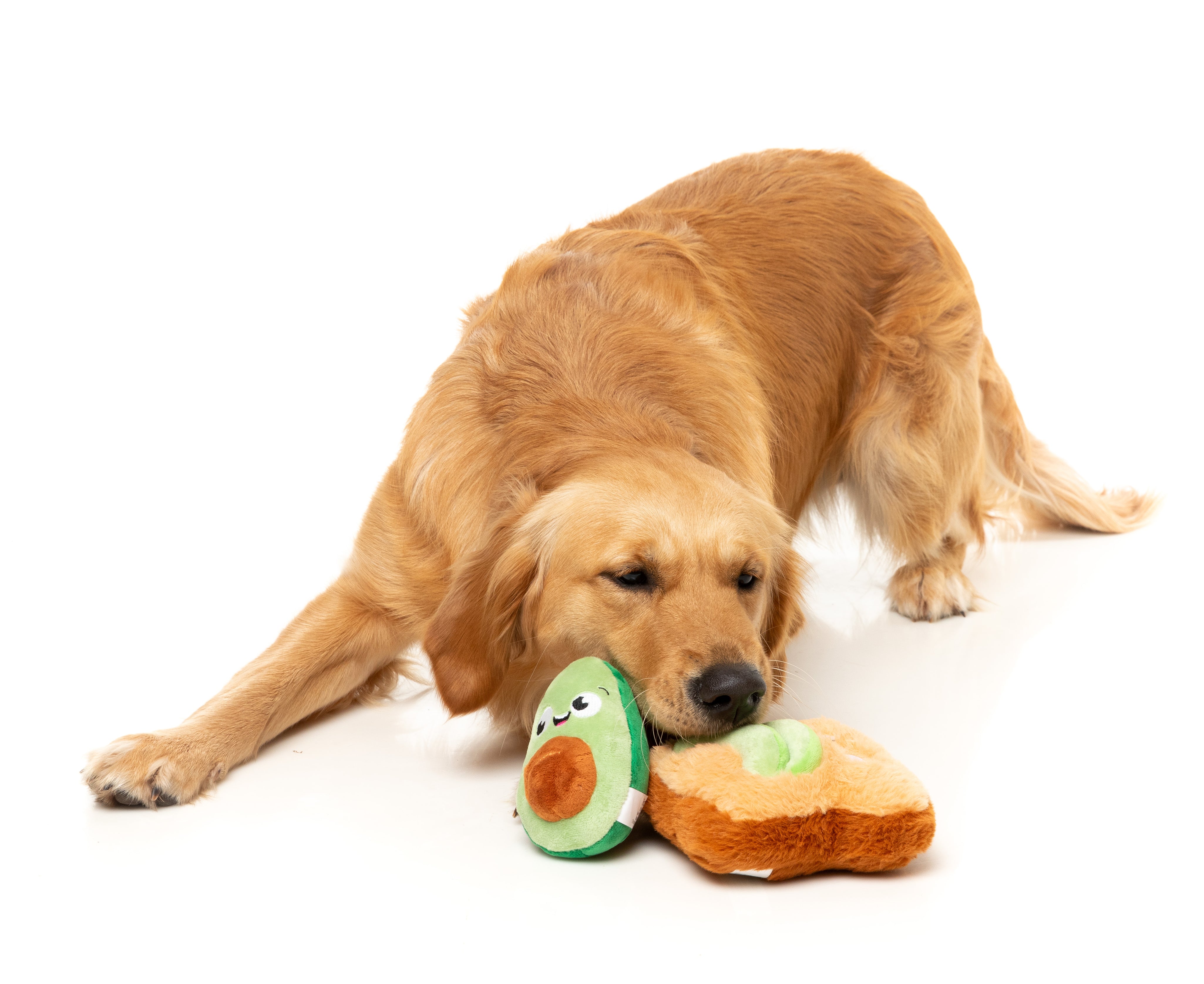 FZT1466_DogToy_Avacado_Toast2pk_Dog05.jpg
