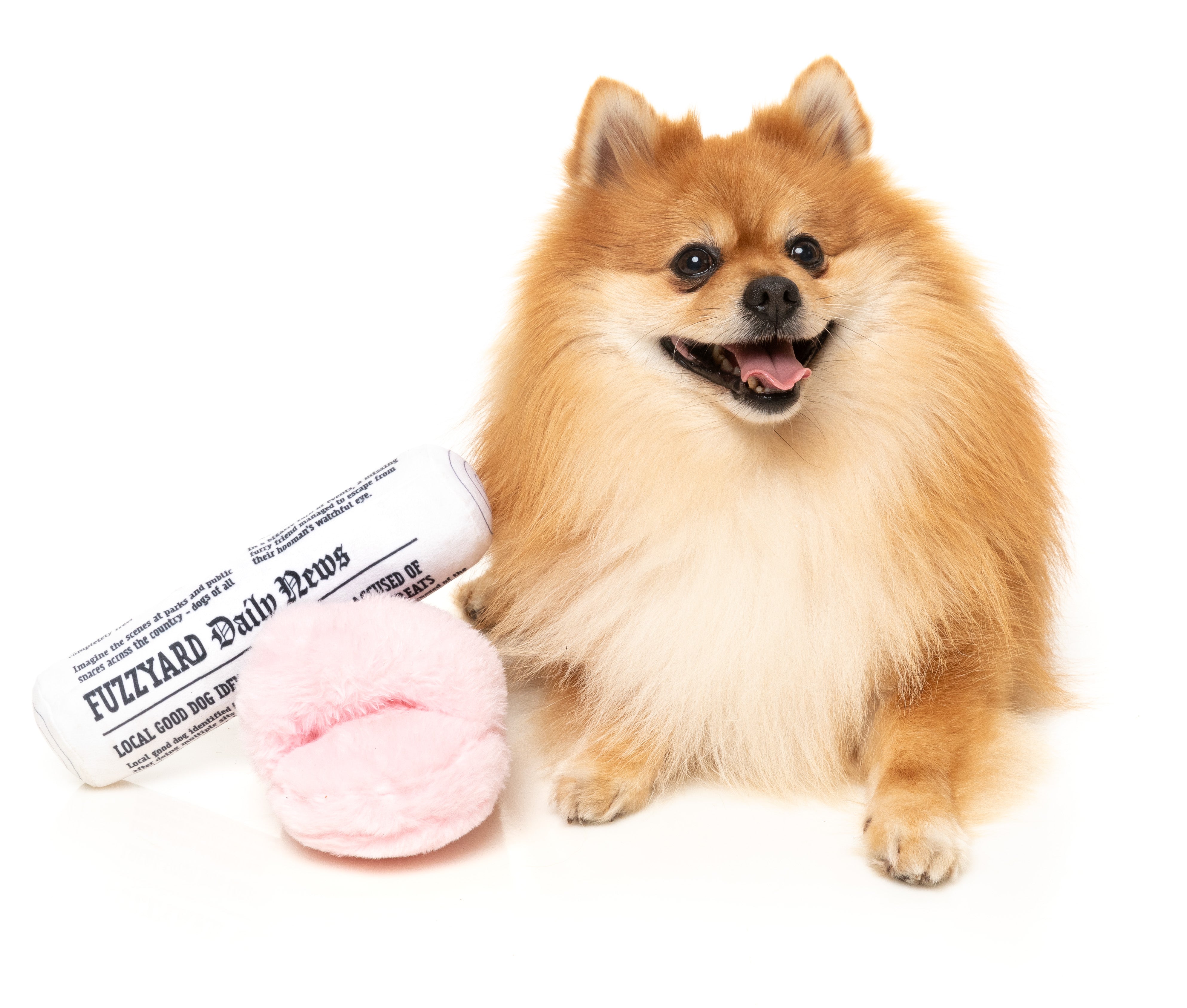 FZT1467_DogToy_FetchMySlippers_Paper2pk_Dog08.jpg
