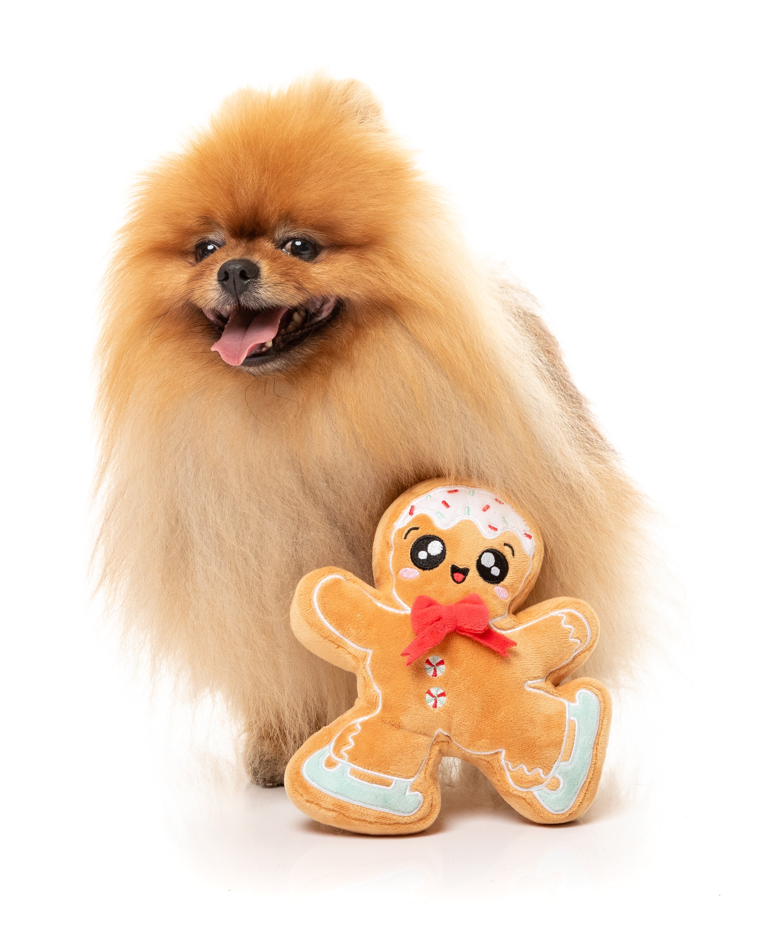 FuzzYard - Biscuit Blader