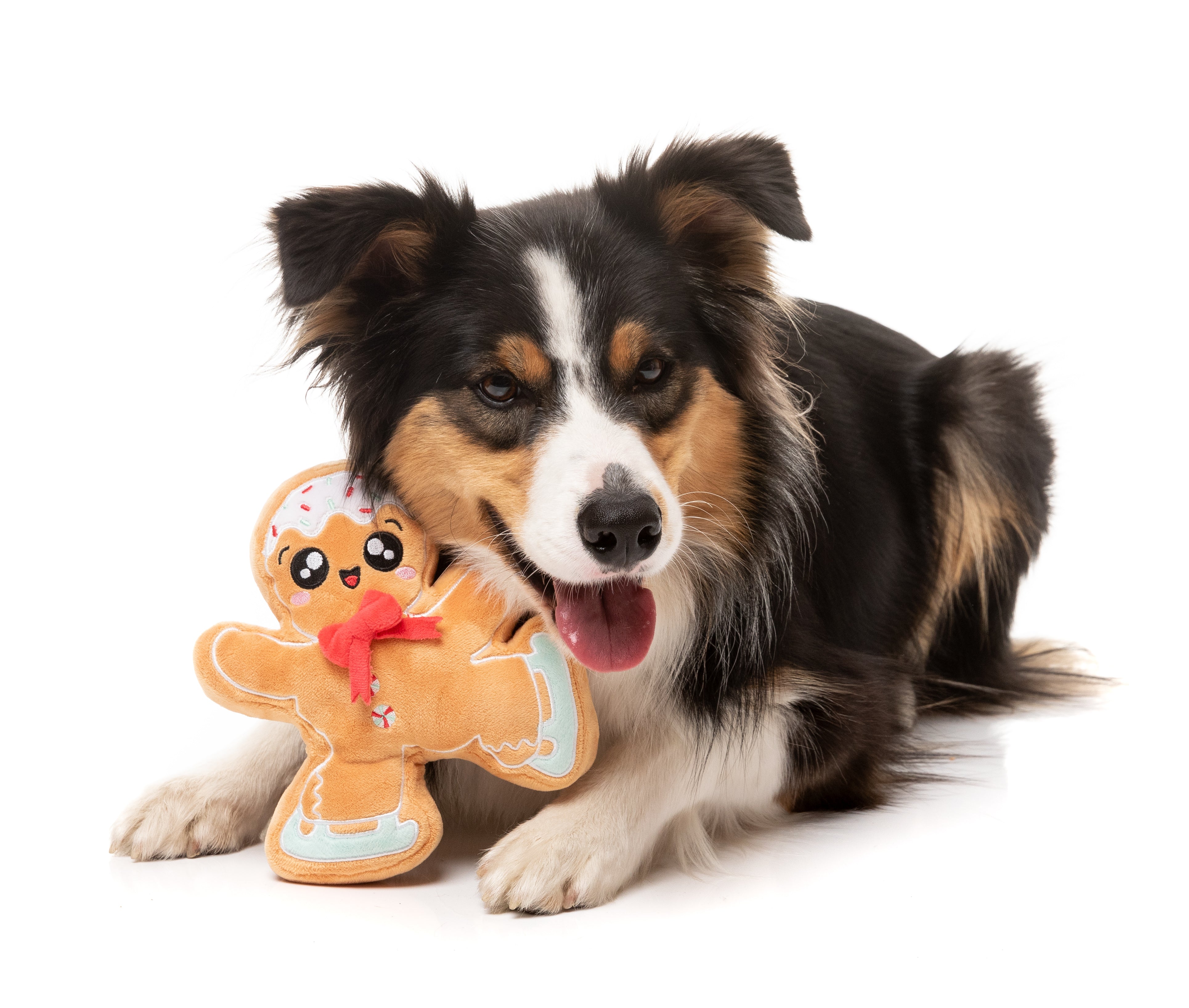 FZT1657_Xmas_DogToy_BiscuitBlader_Dog07.jpg