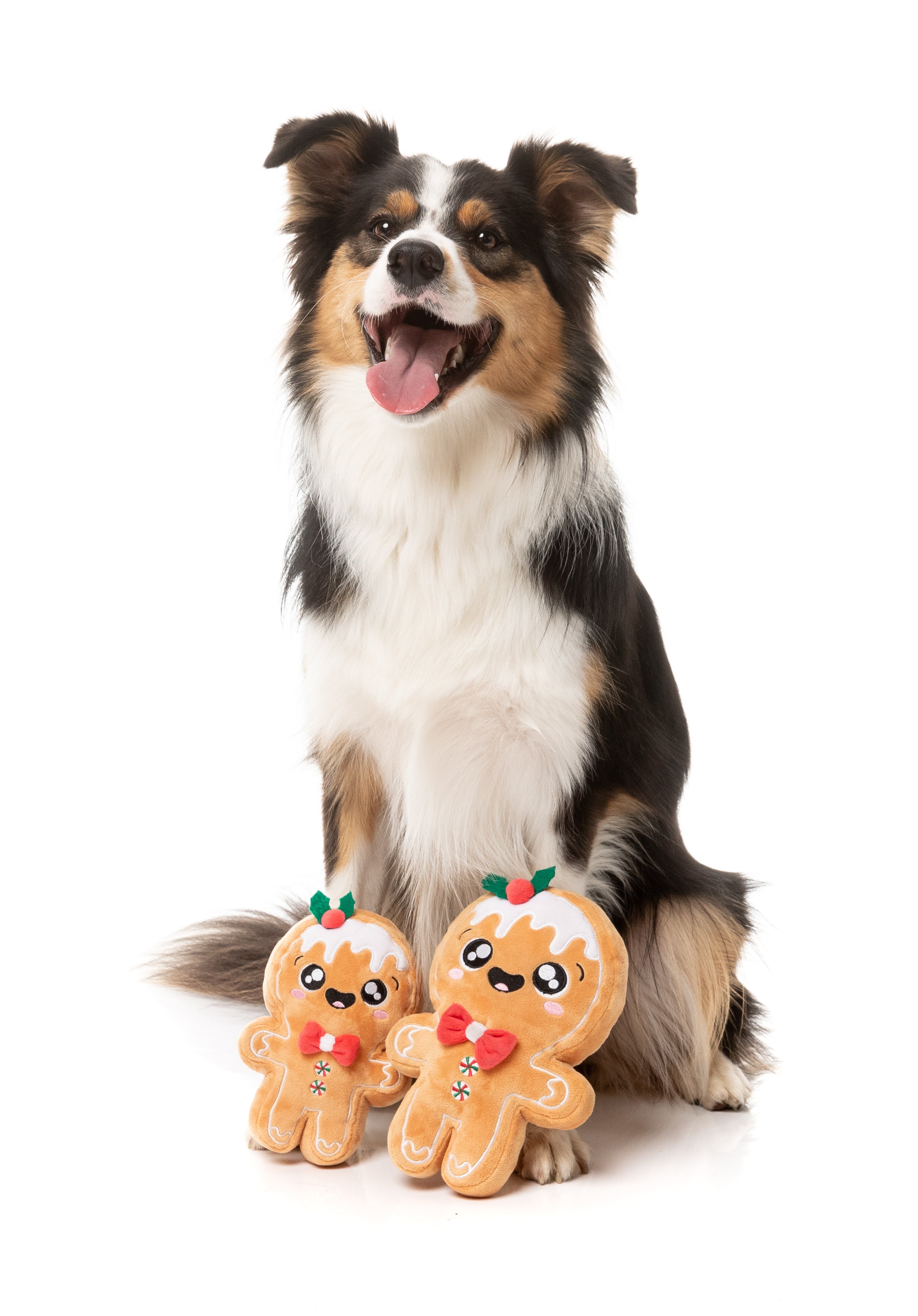 FuzzYard - Biscuit Blader