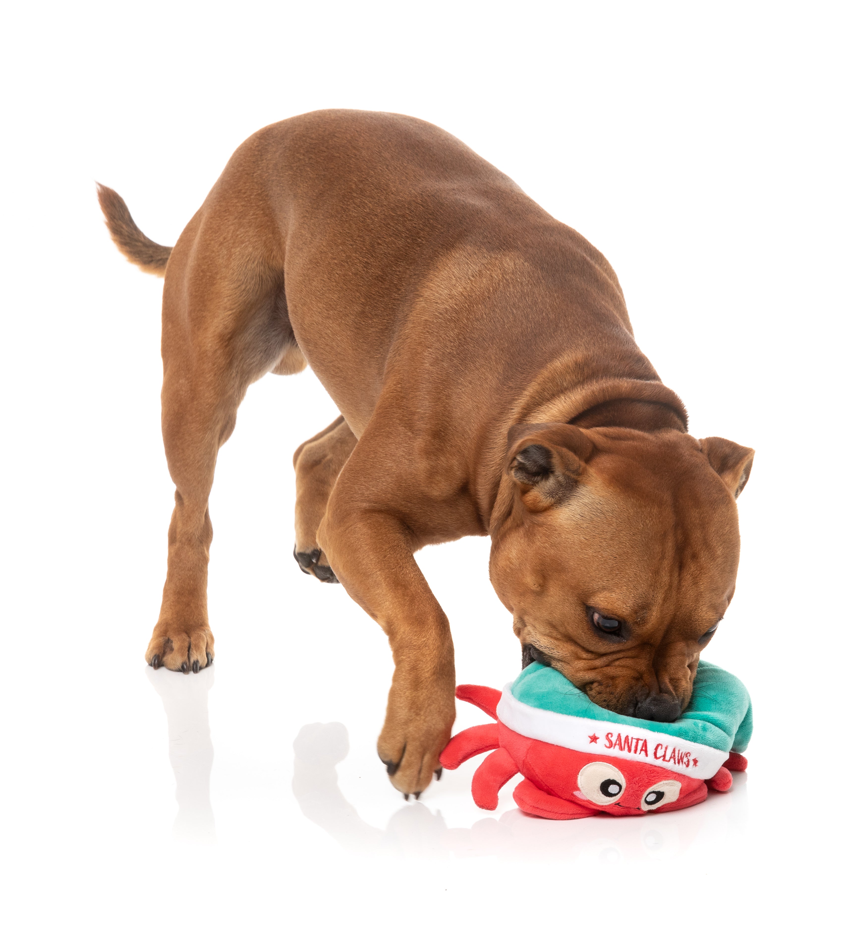 FuzzYard - Santa Claws