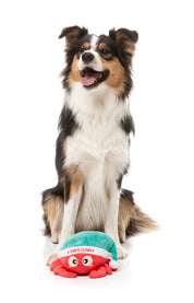 FuzzYard - Santa Claws