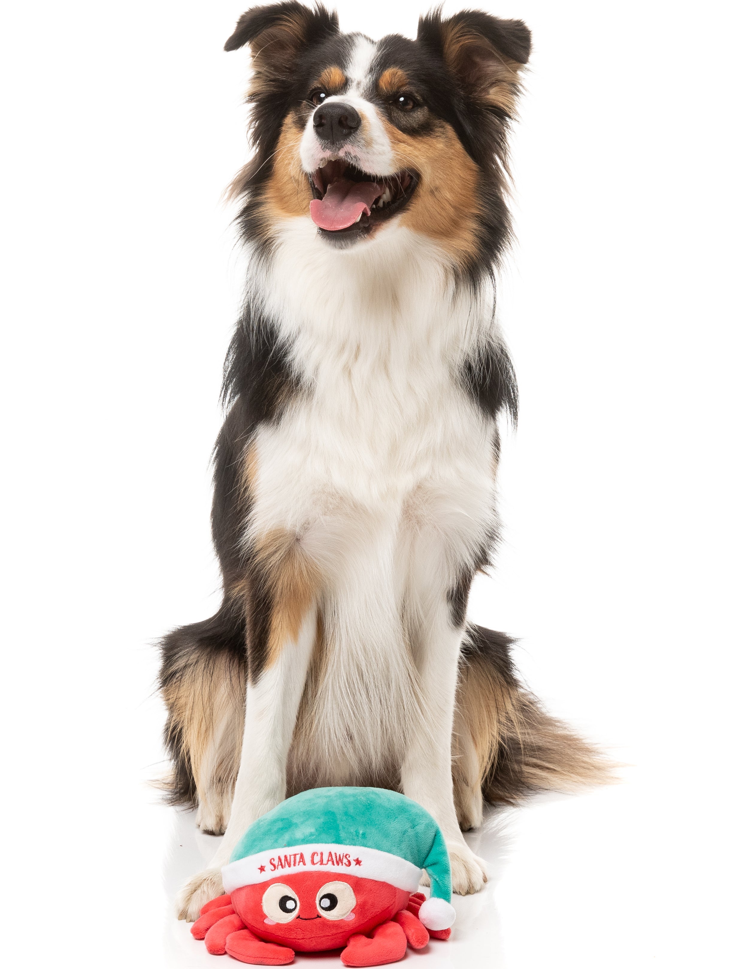 FZT1665_Xmas_DogToy_SantaClaws_Dog06.jpg
