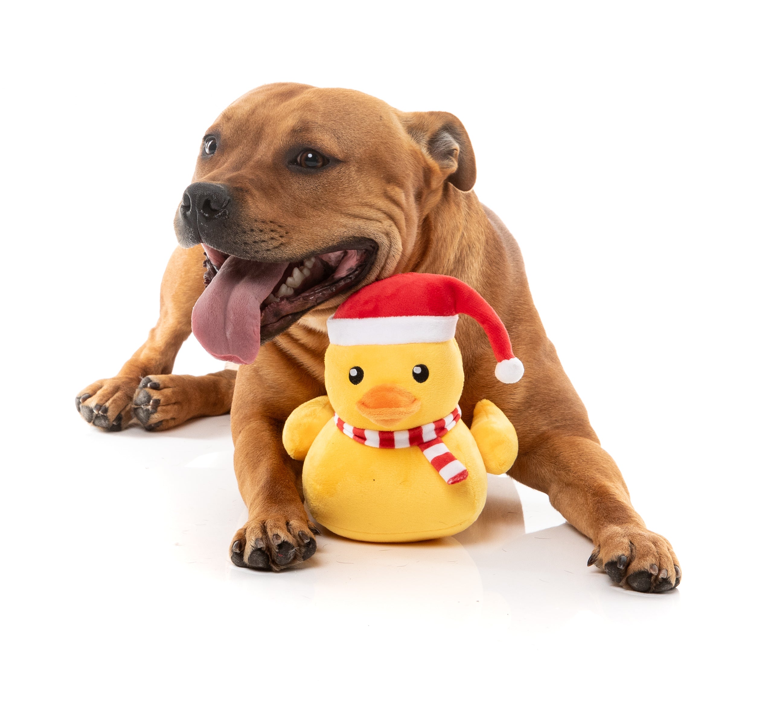 FuzzYard - Festive Waddles