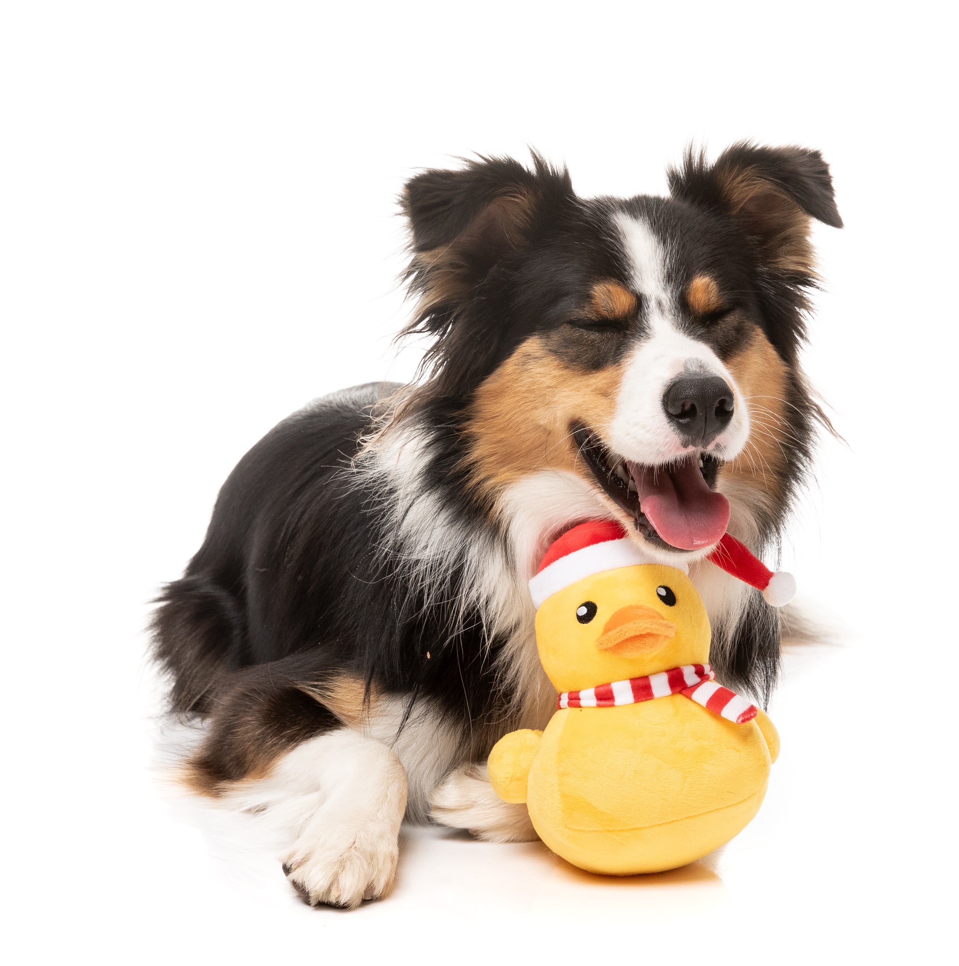 FuzzYard - Festive Waddles