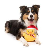 FuzzYard - Festive Waddles