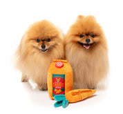 FuzzYard - Reindeer Carrot Juice & Carrot 2PK