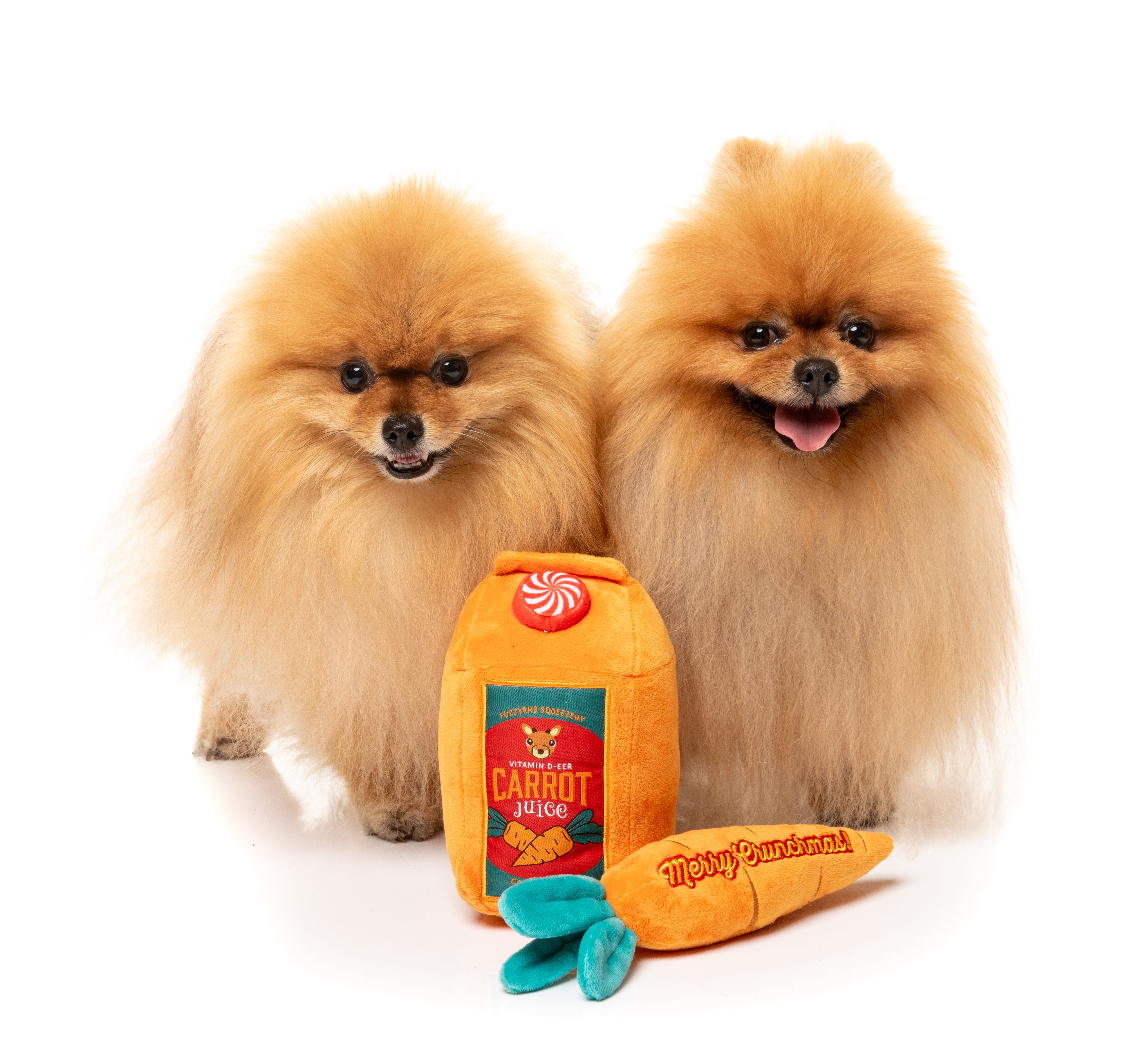 FuzzYard - Reindeer Carrot Juice & Carrot 2PK